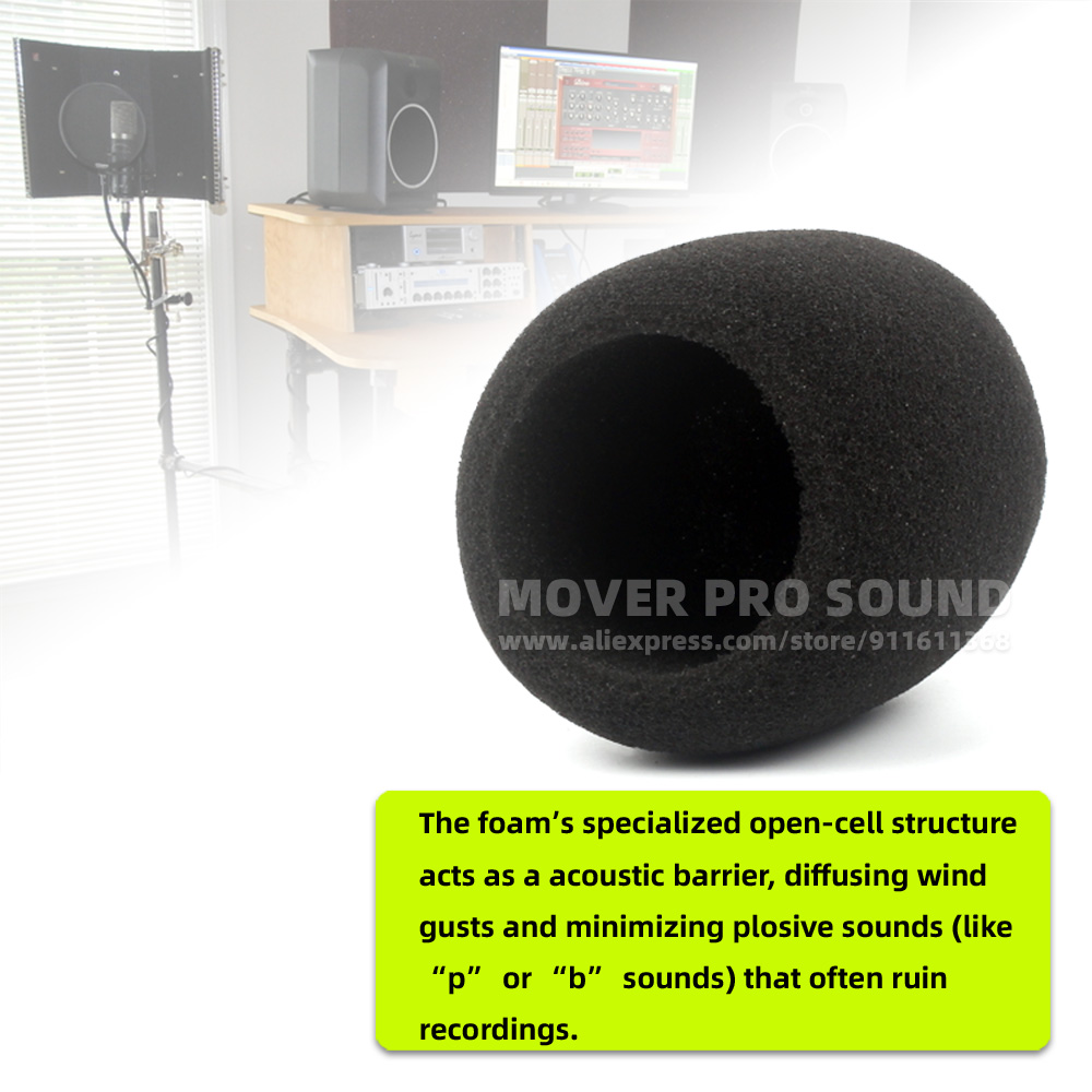 SnapVox Compatible With ZOOM H - Recording Pop Filter review and price