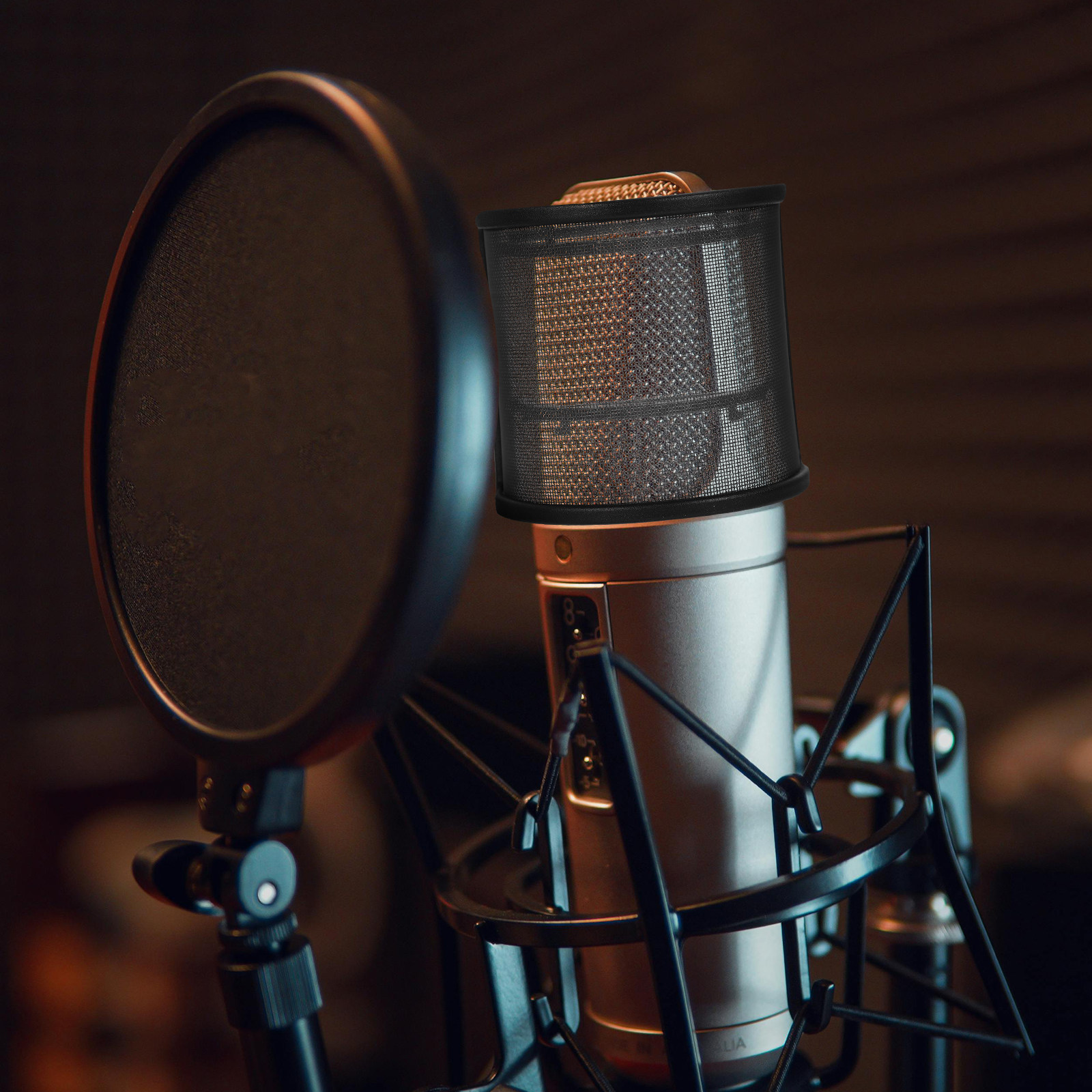 Handheld Microphone Windscreen - Recording Pop Filter review and price